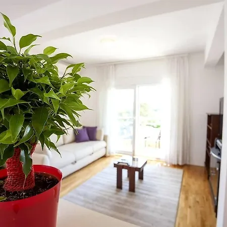 Andrea I Toni 马卡尔斯卡